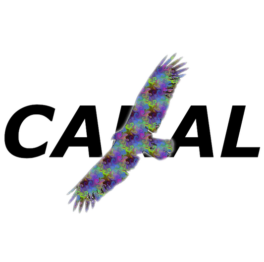 CARAL™ Digital Image